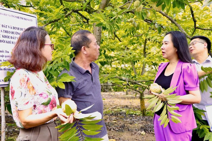 Th&aacute;i Nguy&ecirc;n th&uacute;c đẩy khoa học, c&ocirc;ng nghệ v&agrave; chuyển đổi số trong x&acirc;y dựng n&ocirc;ng th&ocirc;n mới- Ảnh 1.