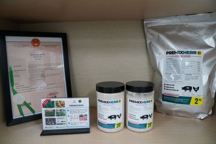 Thảo dược thay thế kh&aacute;ng sinh gi&uacute;p ph&ograve;ng ngừa ti&ecirc;u chảy ở lợn con - Ảnh 2.