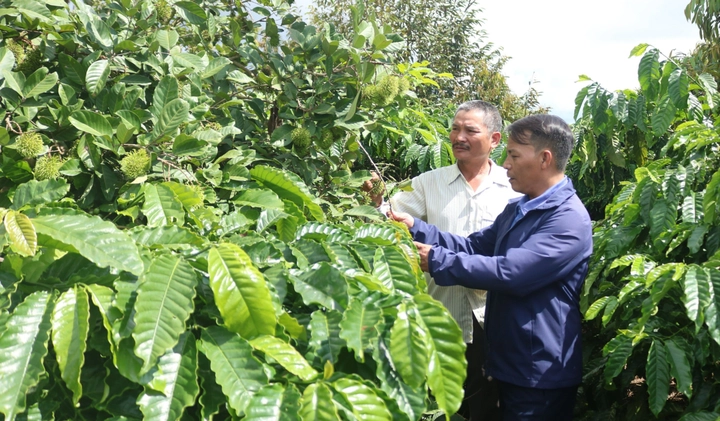 Lan tỏa chuyển đổi số đến người d&acirc;n v&ugrave;ng d&acirc;n tộc thiểu số - Ảnh 1.