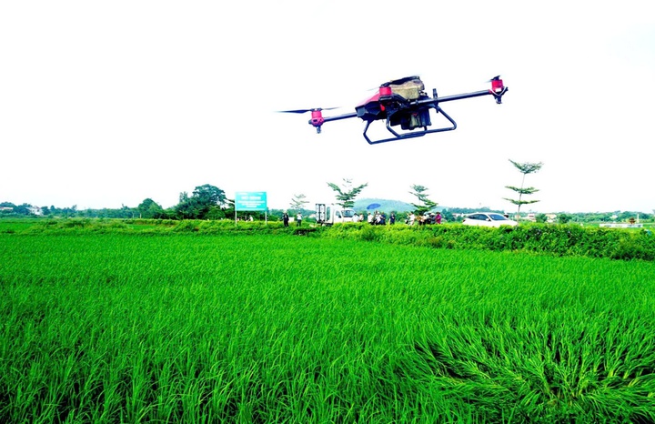 Th&aacute;i Nguy&ecirc;n đẩy mạnh chuyển đổi số, phổ cập dịch vụ số tới người d&acirc;n- Ảnh 2.