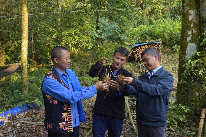 Khơi th&ocirc;ng d&ograve;ng chảy t&agrave;i sản tr&iacute; tuệ- Ảnh 2.
