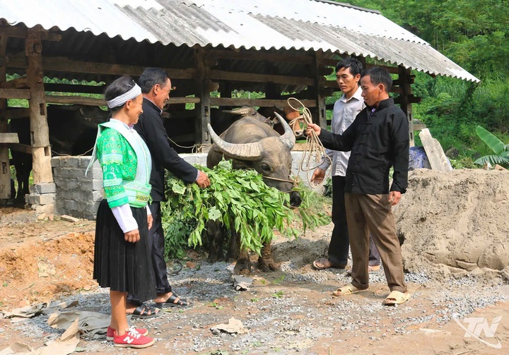 Đưa chuyển đổi số đến v&ugrave;ng đồng b&agrave;o M&ocirc;ng: Thu hẹp khoảng c&aacute;ch, tạo động lực ph&aacute;t triển - Ảnh 2.