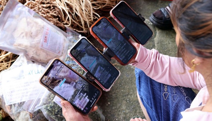 X&acirc;y dựng Ti&ecirc;u chuẩn quốc gia về dịch vụ c&ocirc;ng trực tuyến- Ảnh 2.