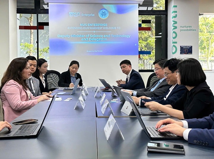 Việt Nam - Singapore trao đổi định hướng hỗ trợ doanh nghiệp c&ocirc;ng nghệ số v&agrave; đổi mới s&aacute;ng tạo- Ảnh 1.