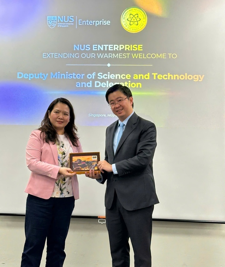 Việt Nam - Singapore trao đổi định hướng hỗ trợ doanh nghiệp c&ocirc;ng nghệ số v&agrave; đổi mới s&aacute;ng tạo- Ảnh 2.