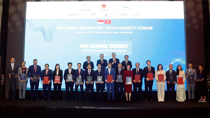 Việt Nam - Singapore thảo luận 05 nội dung trọng t&acirc;m hợp t&aacute;c về KHCN, ĐMST&CĐS - Ảnh 2.