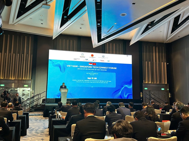 Viet Nam - Singapore Tech Connect Forum - Ảnh 1.