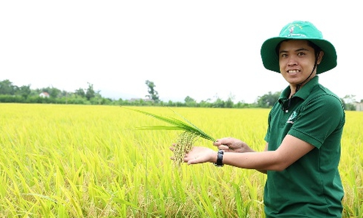 H&agrave; Tĩnh nh&acirc;n rộng m&ocirc; h&igrave;nh l&uacute;a giảm ph&aacute;t thải, hướng tới n&ocirc;ng nghiệp xanh - Ảnh 4.
