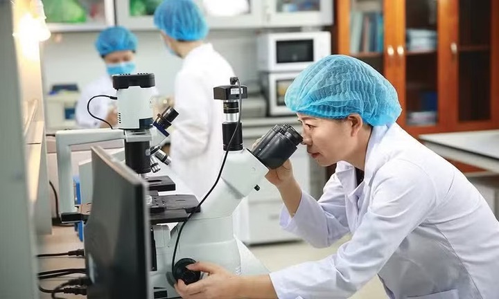 Ministry issues guidelines on scientific integrity and ethics in scientific research - Ảnh 1.