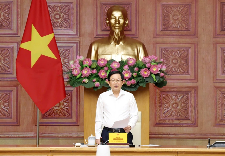 Bảo đảm uy t&iacute;n quốc gia trong thực thi v&agrave; bảo vệ quyền sở hữu tr&iacute; tuệ - Ảnh 4.