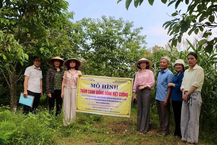 Khoa học, công nghệ và chuyển đổi số - Động lực phát triển nông nghiệp hàng hóa tỉnh Thái Nguyên - Ảnh 1.