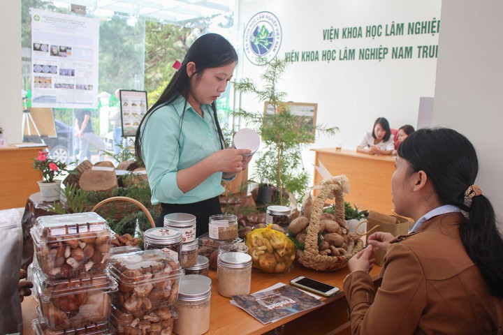 Doanh nghiệp L&acirc;m Đồng được hỗ trợ tới 100 triệu đồng để chuyển đổi số- Ảnh 1.