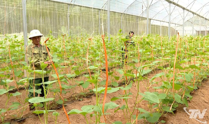 Hợp t&aacute;c x&atilde; Th&aacute;i Nguy&ecirc;n tăng sức cạnh tranh nhờ chuyển đổi số - Ảnh 2.
