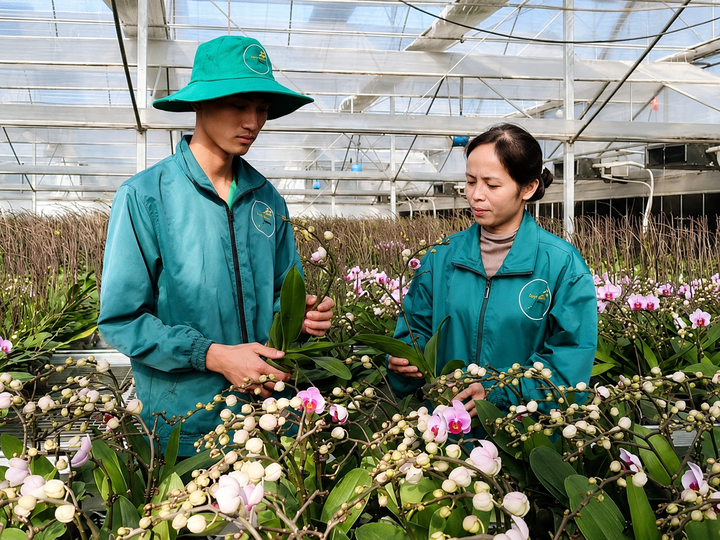 Science, technology and innovation: The new engines of growth - Ảnh 1.
