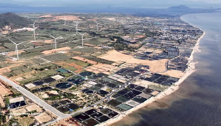 Vietnam needs full-spectrum workforce for nuclear power development: insiders - Ảnh 1.