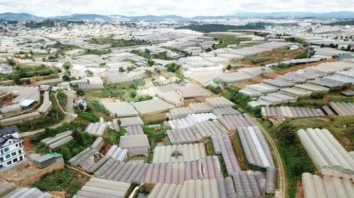 Khoa học, c&ocirc;ng nghệ n&acirc;ng cao gi&aacute; trị n&ocirc;ng sản, tăng sức cạnh tranh của ng&agrave;nh n&ocirc;ng nghiệp.- Ảnh 2.
