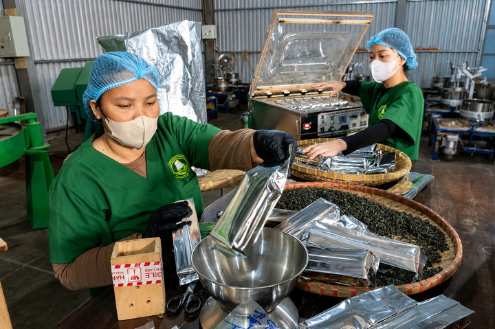 Sở hữu tr&iacute; tuệ n&acirc;ng tầm kinh tế tập thể v&ugrave;ng ch&egrave; Quảng Ng&atilde;i - Ảnh 2.