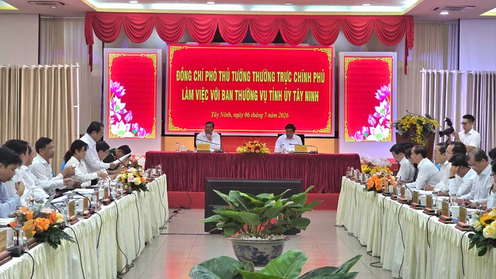 Tây Ninh dự kiến thí điểm nhiều đề án phát triển khoa học, công nghệ - Ảnh 2.