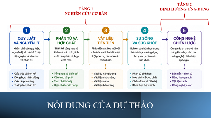 Xây dựng định hướng nghiên cứu Hóa học cho giai đoạn phát triển mới - Ảnh 8.