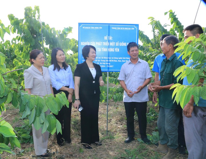 M&ocirc; h&igrave;nh na mới tại Hưng Y&ecirc;n bước đầu cho t&iacute;n hiệu t&iacute;ch cực- Ảnh 1.