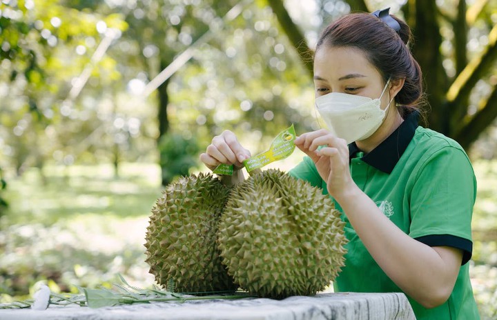 Đắk Lắk đưa tài sản trí tuệ từ văn bằng ra thị trường - Ảnh 2.