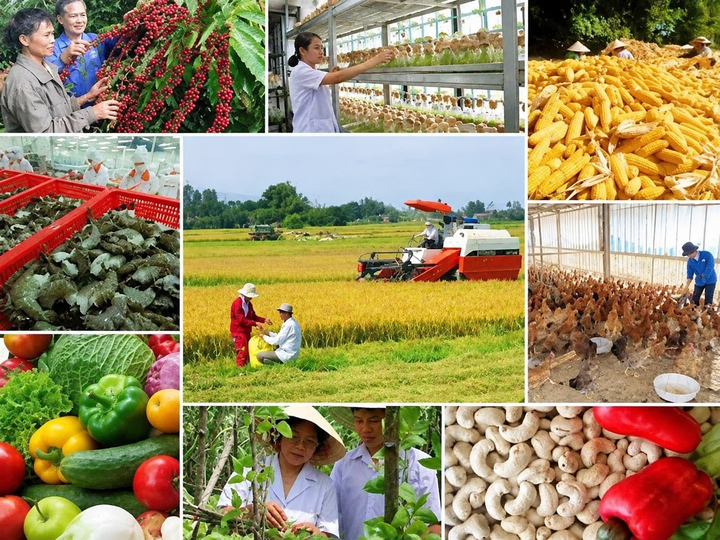 Từ sản phẩm đến thương hiệu: HTX Đắk Lắk n&acirc;ng gi&aacute; trị bằng c&ocirc;ng nghệ - Ảnh 1.