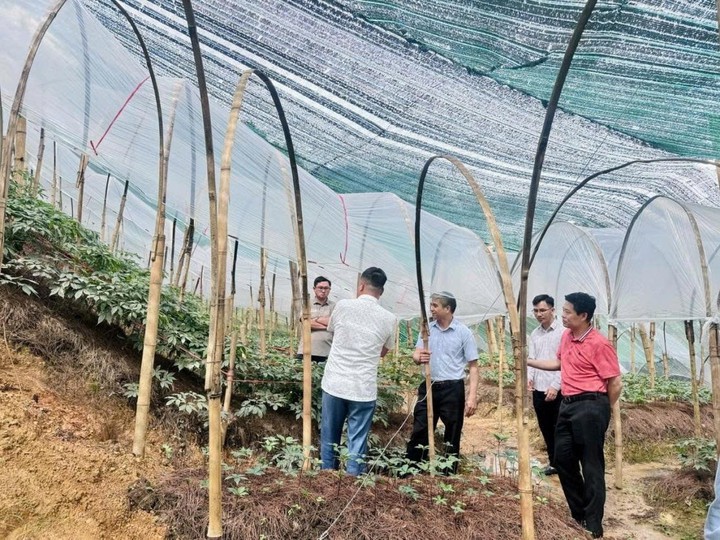 Từ mô hình thực tiễn đến hướng đi mới cho nông nghiệp Lạng Sơn - Ảnh 1.