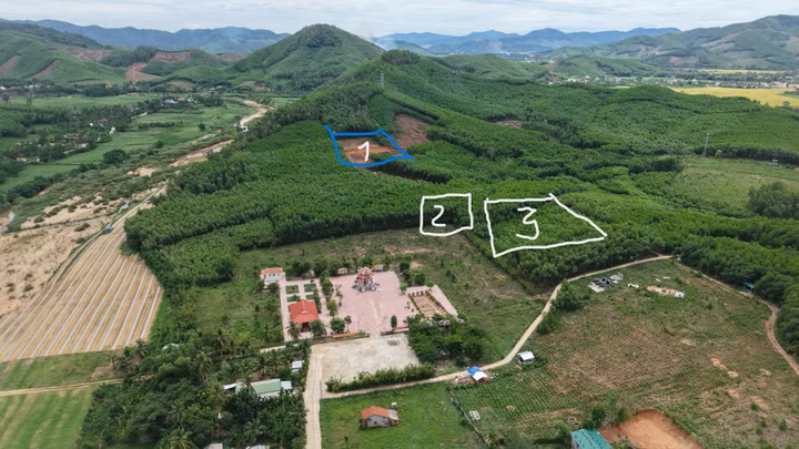 Ứng dụng công nghệ lần tìm dấu tích liệt sĩ tại đồi Xuân Sơn - Ảnh 2.