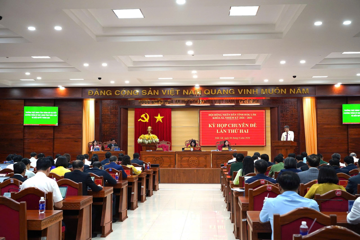 Đắk Lắk đặt mục tiêu kinh tế số chiếm 30% GRDP vào năm 2030- Ảnh 1.
