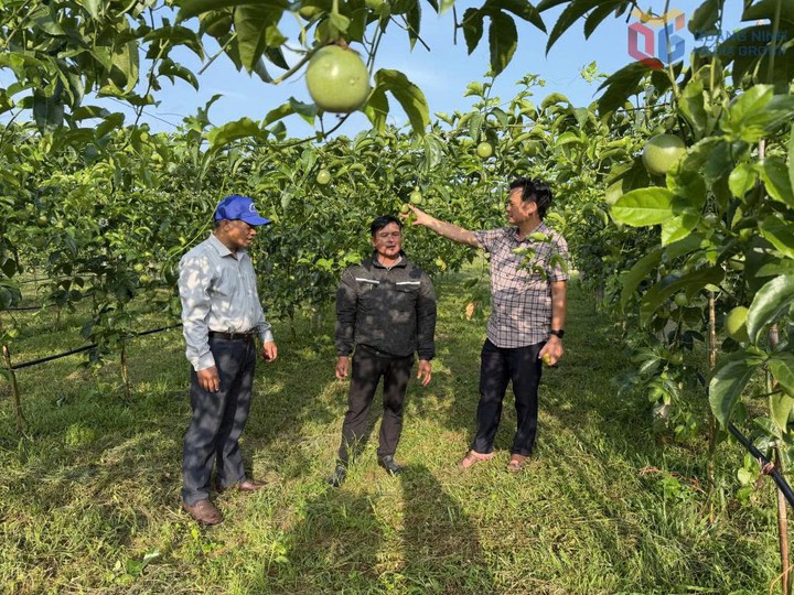 Làm nông thời 4.0 - Ảnh 2.