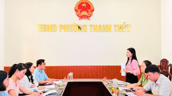 Huế giám sát việc thực hiện chính sách, pháp luật về bình đẳng giới- Ảnh 1.