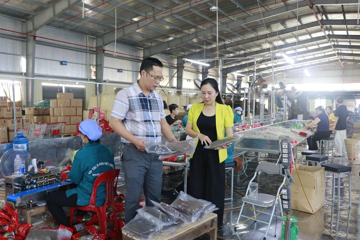 Khoa học và công nghệ nâng tầm giá trị miến dong từ tinh chất trà xanh Thái Nguyên - Ảnh 2.