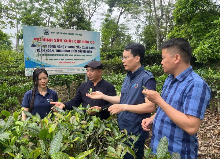 Khoa học, c&ocirc;ng nghệ n&acirc;ng gi&aacute; trị sản phẩm OCOP v&ugrave;ng cao Th&aacute;i Nguy&ecirc;n- Ảnh 1.