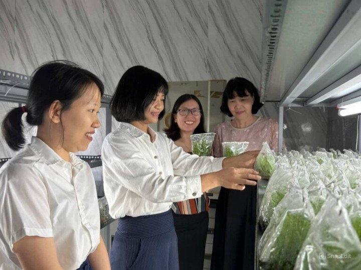 C&ocirc;ng nghệ nu&ocirc;i cấy m&ocirc; mở hướng chủ động giống nh&acirc;n trần c&aacute;t- Ảnh 1.