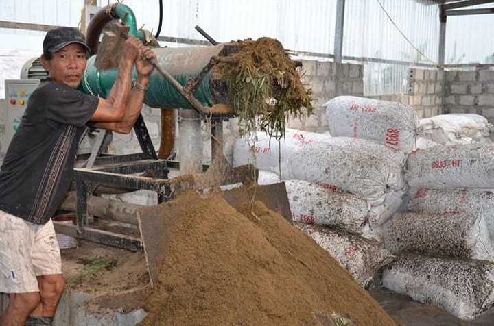 C&ocirc;ng nghệ vi sinh mở hướng xử l&yacute; chất thải chăn nu&ocirc;i- Ảnh 2.
