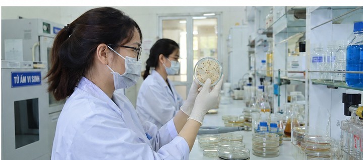 Bắc Ninh mở rộng ứng dụng công nghệ sinh học trong sản xuất nông nghiệp- Ảnh 1.