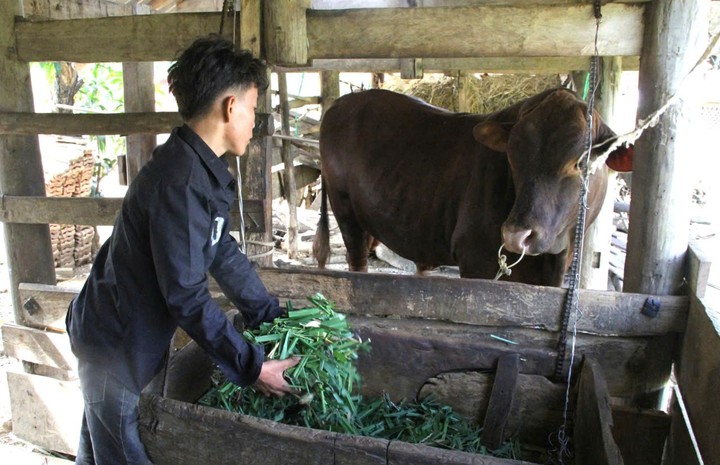 Đắk Lắk: Khoa học và công nghệ mở hướng sinh kế cho vùng đồng bào dân tộc thiểu số- Ảnh 2.