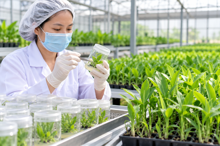 C&ocirc;ng nghệ sinh học n&acirc;ng gi&aacute; trị sản xuất n&ocirc;ng nghiệp Bắc Ninh- Ảnh 1.