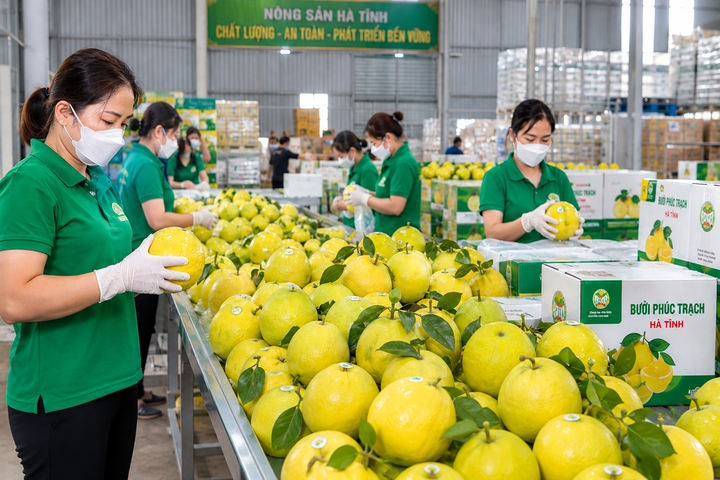 C&ocirc;ng nghệ sinh học mở hướng n&acirc;ng gi&aacute; trị n&ocirc;ng nghiệp H&agrave; Tĩnh- Ảnh 1.