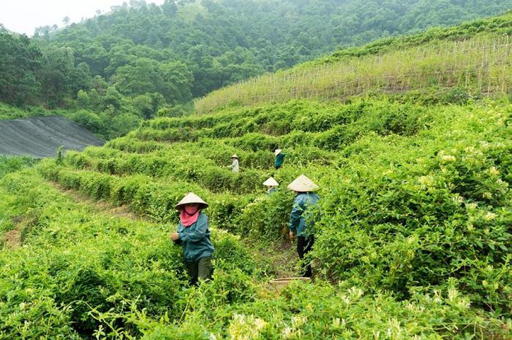 Khi ruộng, vườn v&ugrave;ng cao trở th&agrave;nh một phần của h&agrave;nh tr&igrave;nh du lịch- Ảnh 1.