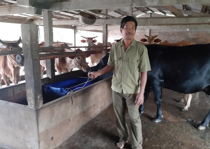 Khoa học v&agrave; c&ocirc;ng nghệ tạo lực đẩy cho c&aacute;c m&ocirc; h&igrave;nh sinh kế tại Vĩnh Long- Ảnh 1.