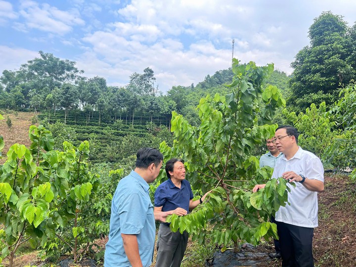 Kiểm tra 3 nhiệm vụ khoa học v&agrave; c&ocirc;ng nghệ trong lĩnh vực n&ocirc;ng nghiệp - Ảnh 1.
