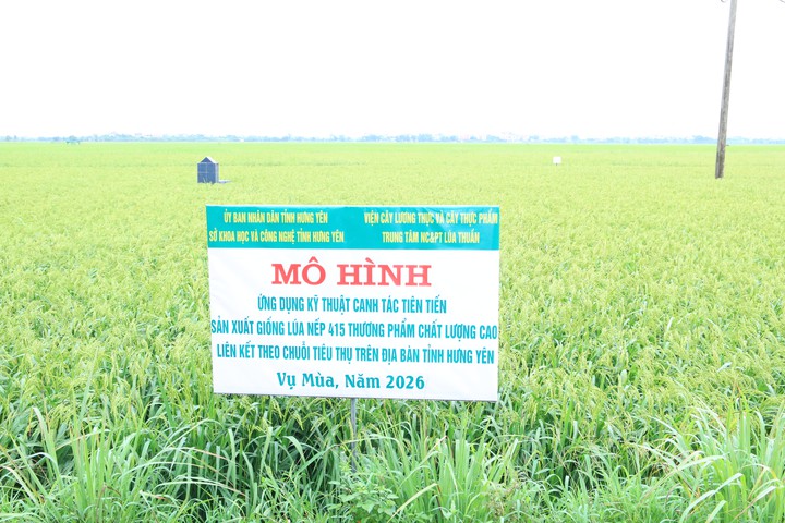 VietGAP 2026 c&oacute; g&igrave; mới để n&acirc;ng chất lượng n&ocirc;ng sản Việt? - Ảnh 1.