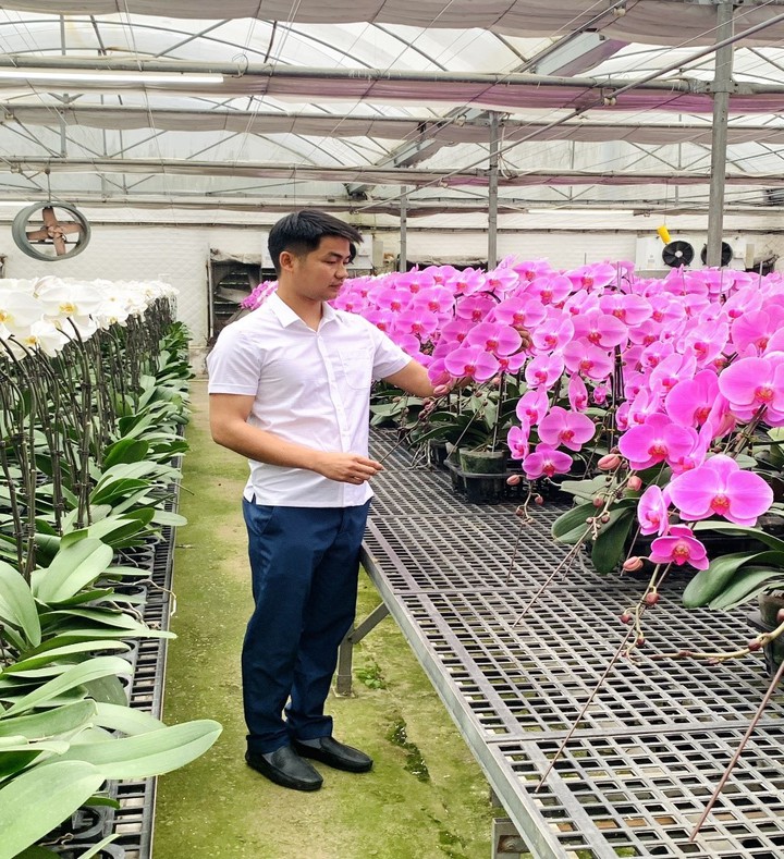 Ứng dụng c&ocirc;ng nghệ, n&acirc;ng gi&aacute; trị hoa ngoại th&agrave;nh H&agrave; Nội- Ảnh 1.