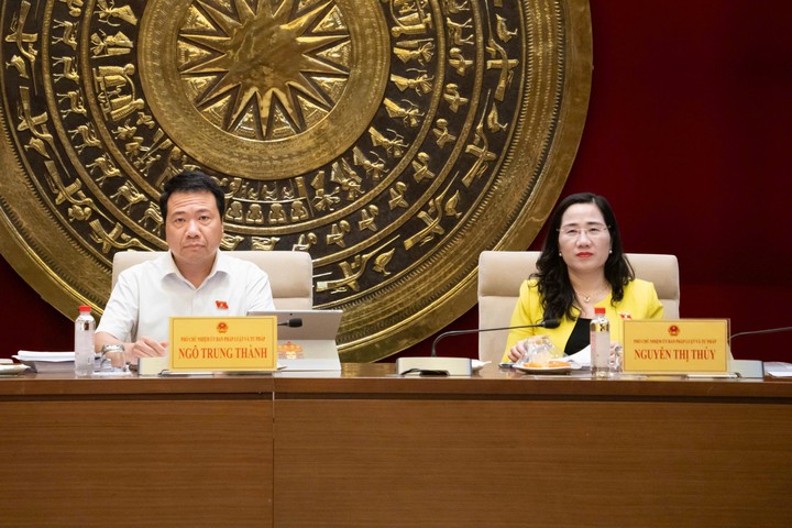 Dự kiến bãi bỏ 18 thủ tục hành chính, cắt giảm 5 điều kiện kinh doanh về sở hữu trí tuệ- Ảnh 2.