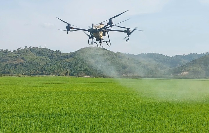Đắk Lắk th&uacute;c đẩy nghi&ecirc;n cứu, ph&aacute;t triển v&agrave; ứng dụng sản phẩm c&ocirc;ng nghệ chiến lược - Ảnh 2.