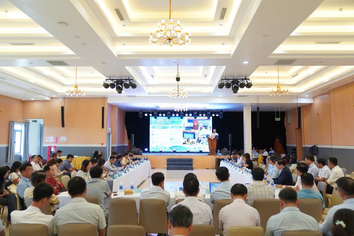 Đà Nẵng đưa đổi mới sáng tạo đến xã, phường- Ảnh 1.