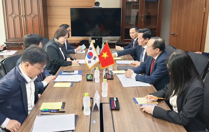 Việt Nam - H&agrave;n Quốc th&uacute;c đẩy hợp t&aacute;c c&ocirc;ng nghệ năng lượng nguy&ecirc;n tử- Ảnh 2.