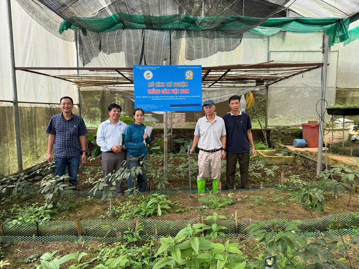 Sơn La mở hướng phát triển dược liệu giá trị cao- Ảnh 1.