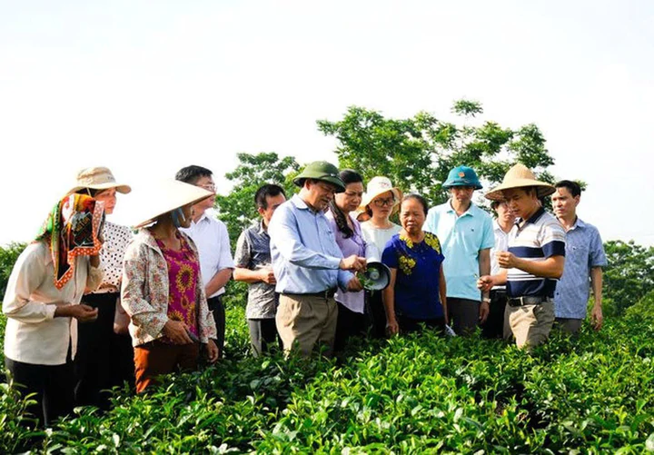 Hỗ trợ đồng bào dân tộc thiểu số phát triển kinh tế tập thể- Ảnh 2.